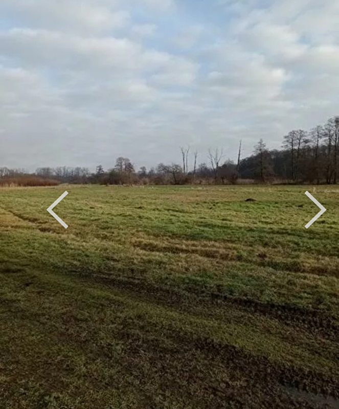 Stajnia Woltyniówka