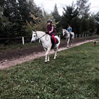 Stajnia Kaliska - zdjęcie 5