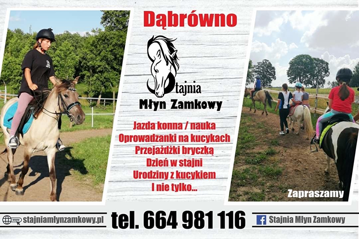 Stajnia Młyn Zamkowy
