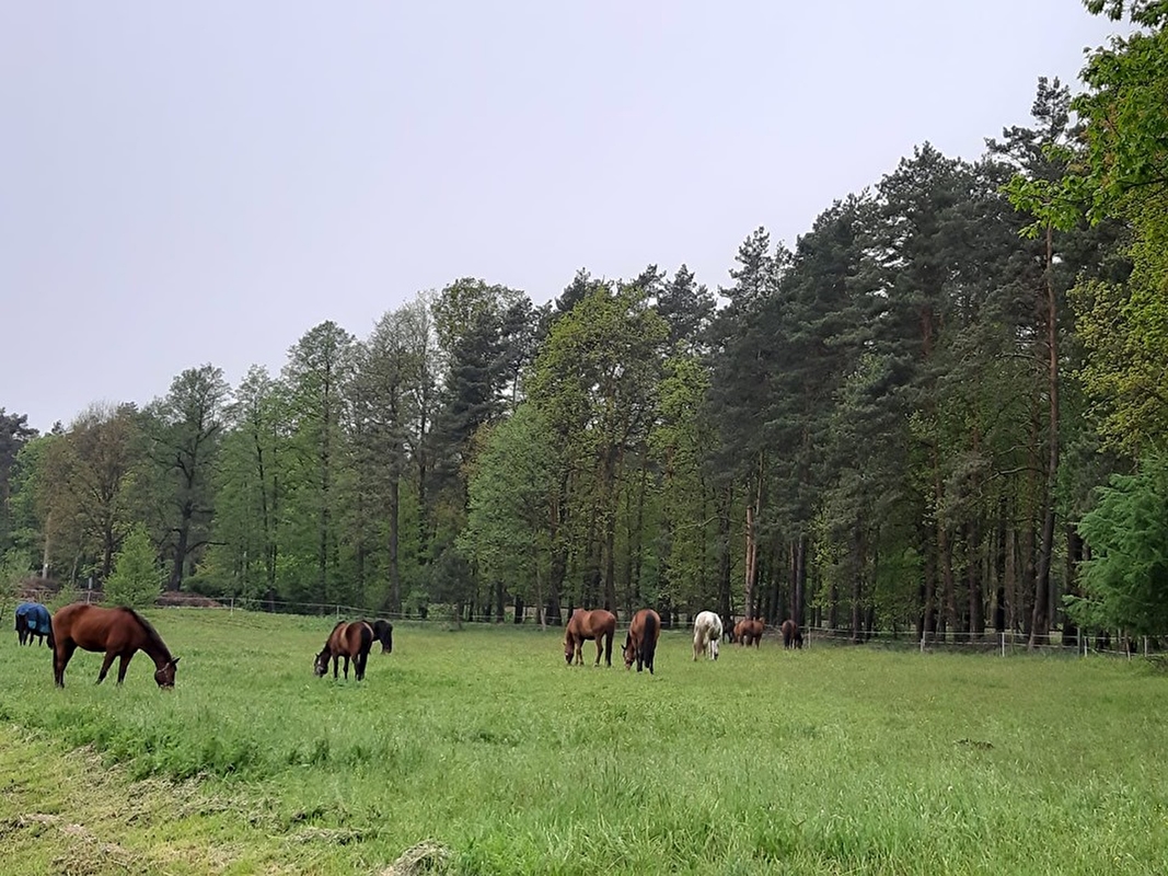 Rancho Broszka - zdjęcie 5