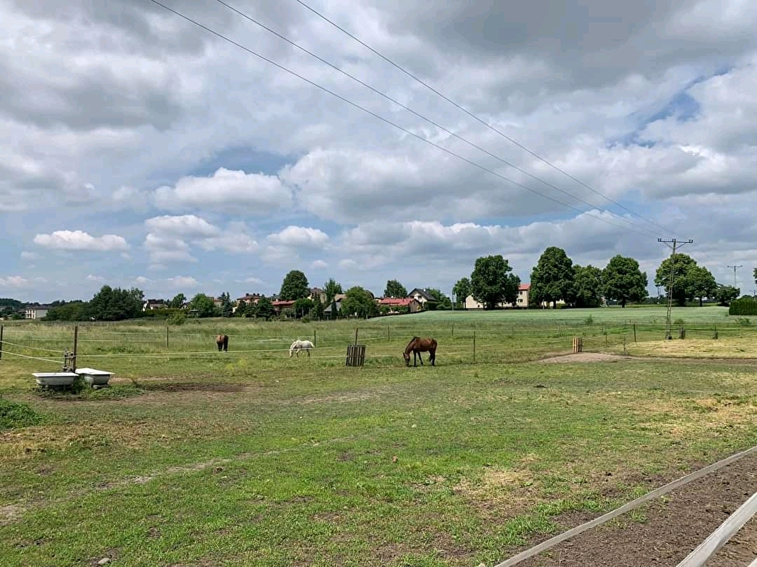Przydomowa Stajnia Mysłowice