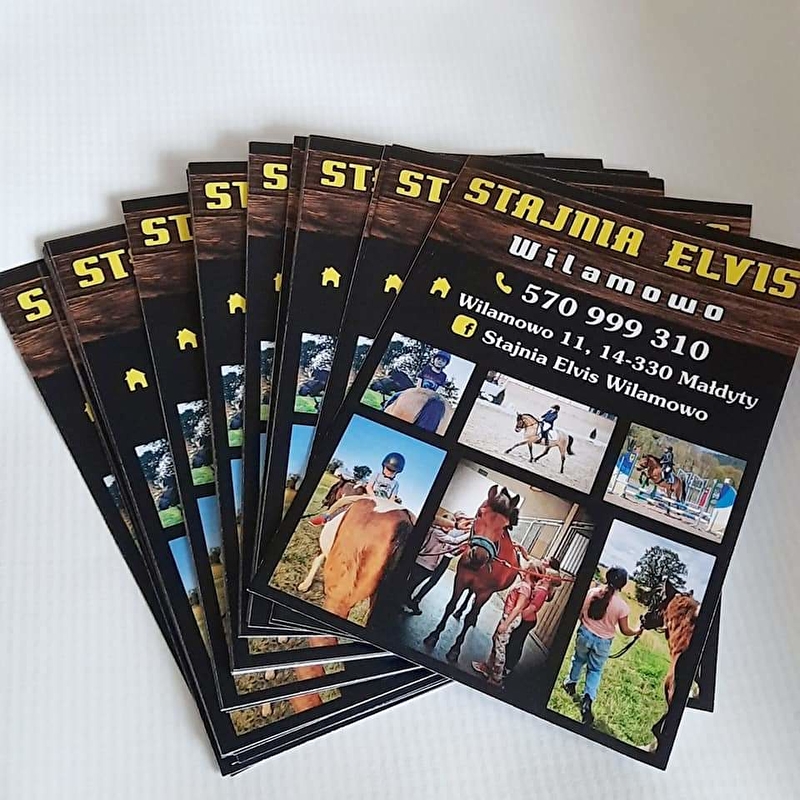 Stajnia Elvis - zdjęcie 1