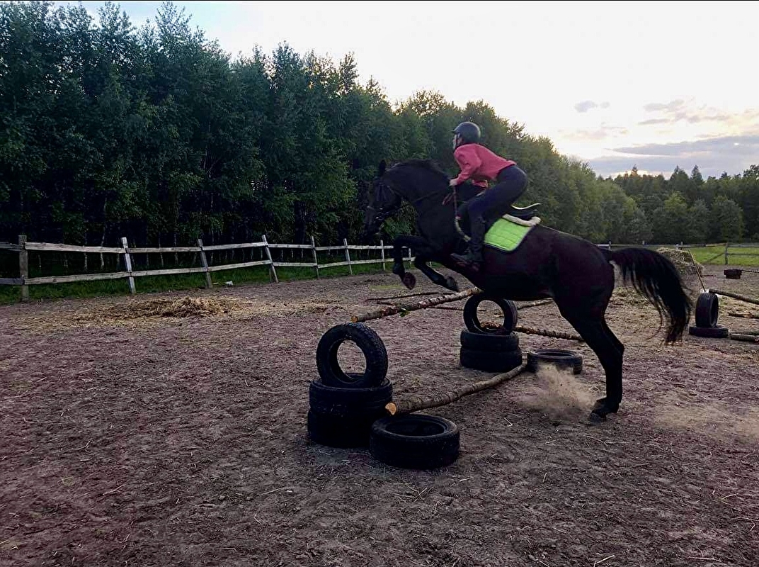 Stajnia Pro Horse