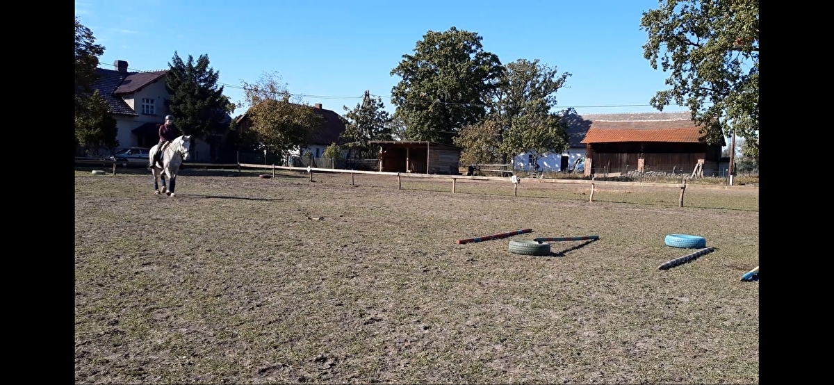 Stajnia KASiDa