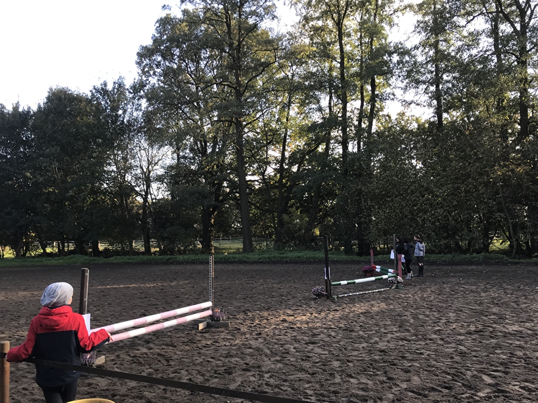 Stajnia HorseCare - zdjęcie 4