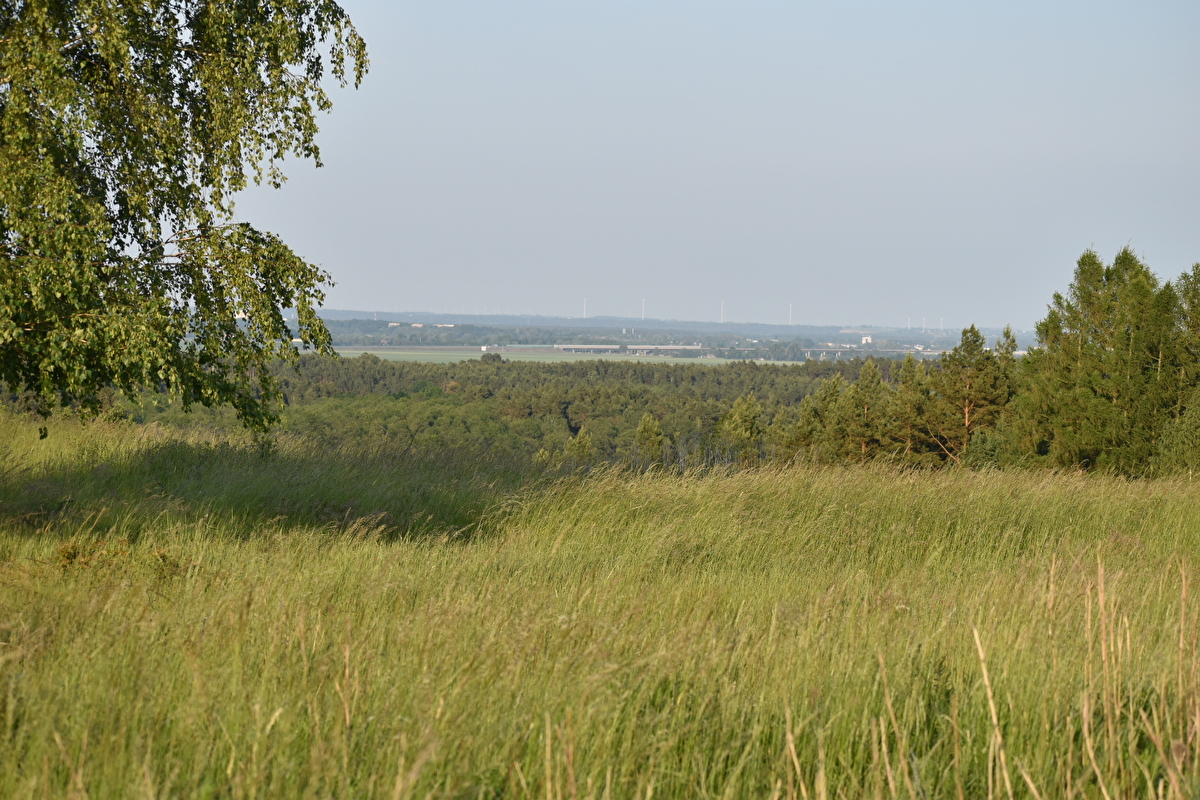 MTK Stadnina Koni Święte - zdjęcie 5