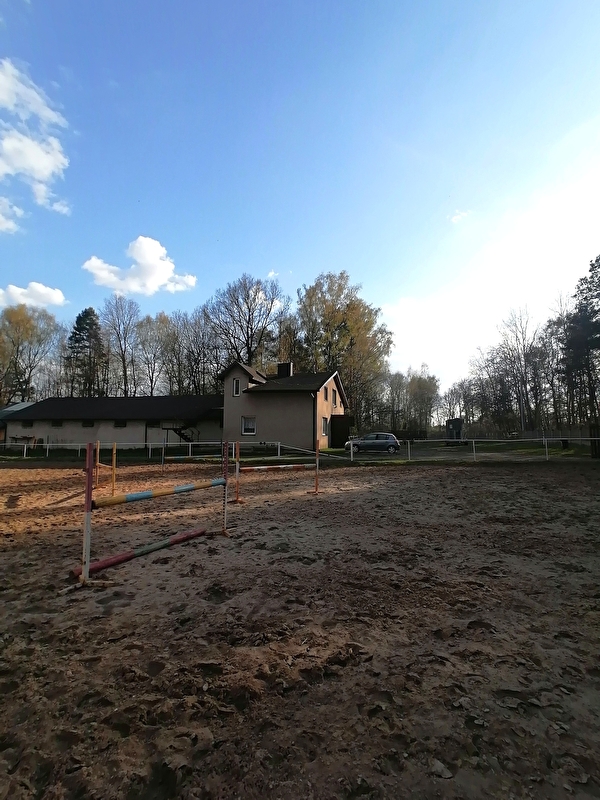 Stadnina Koni Poręba - zdjęcie 7
