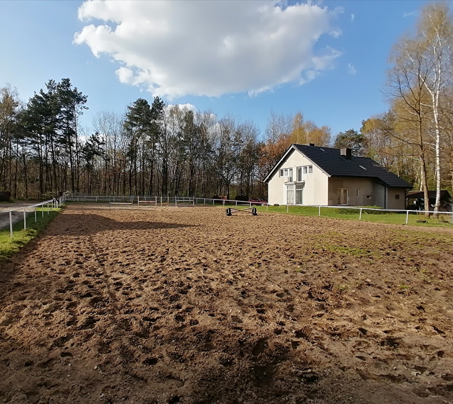 Stadnina Koni Poręba - zdjęcie 8