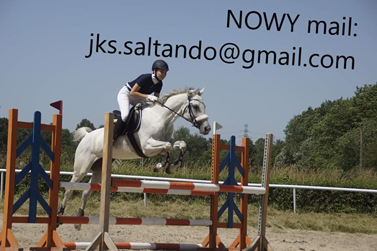 Jeździecki Klub Sportowy SALTANDO sp. z o.o.