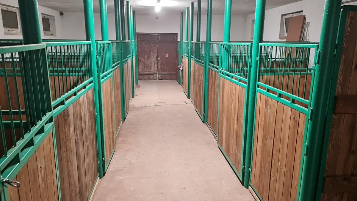 Stajnia Pod Lasem, Wilcza Góra