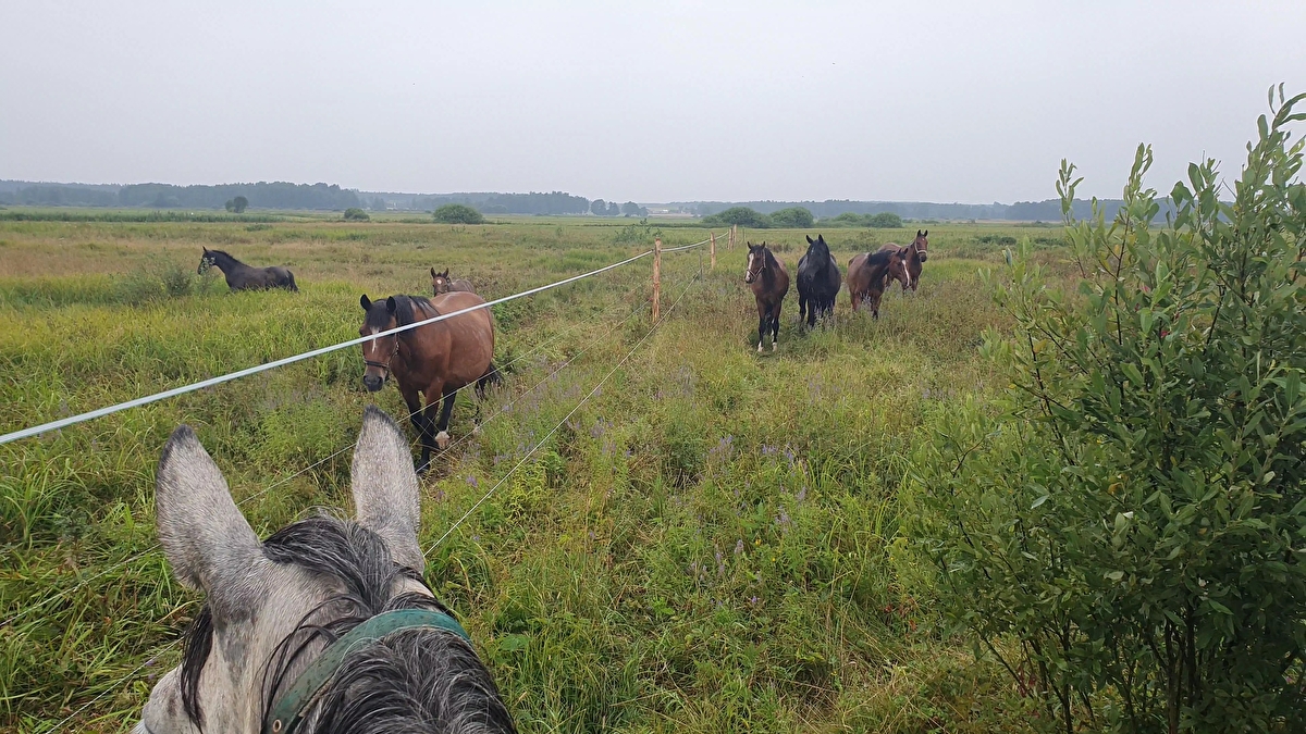 Mróz Equestrian Family