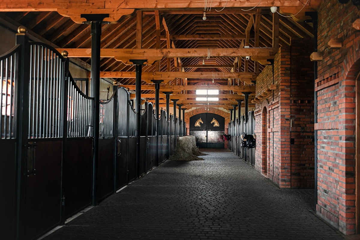 Stadnina Gąsowscy