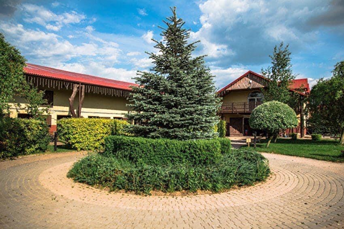 Ośrodek Jeździecki Golden Horse - zdjęcie 3