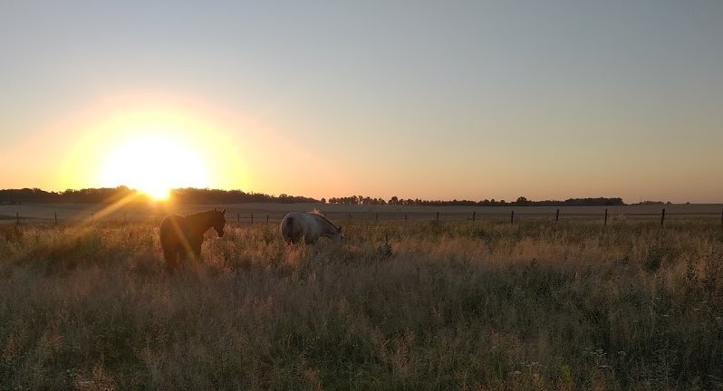 "Stajnia Girawolta" Pensjonat