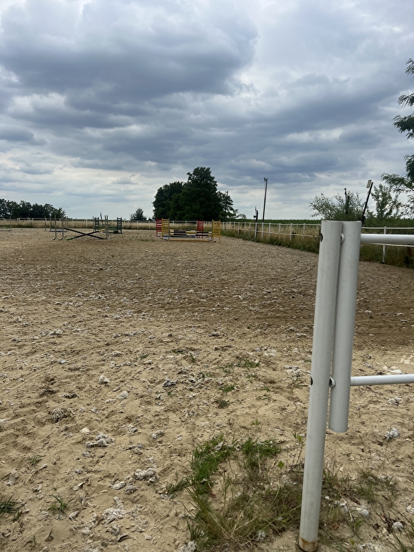 Stajnia sportowa prywatna EquiQuest