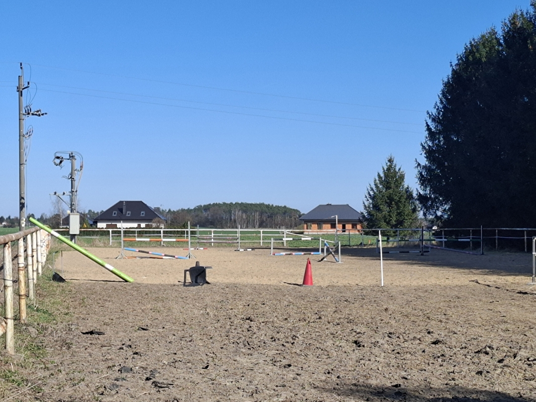 Dark Horse Stable - zdjęcie 6