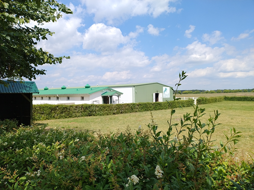 Horse Care Rehab Centre - zdjęcie 1