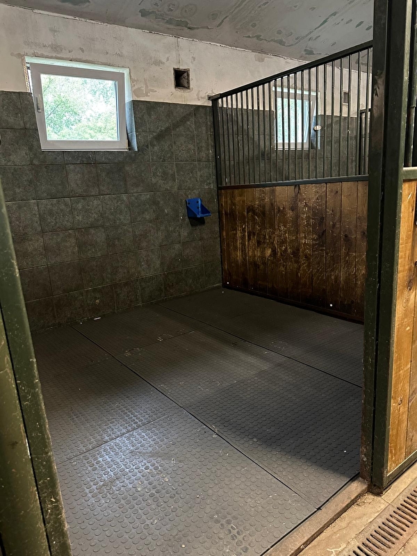 Horse Care Rehab Centre - zdjęcie 4