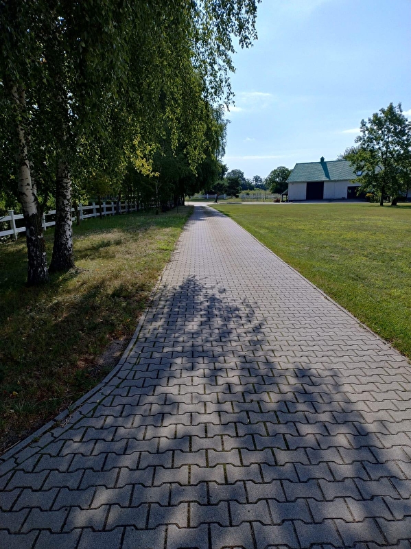 Horse Care Rehab Centre - zdjęcie 5