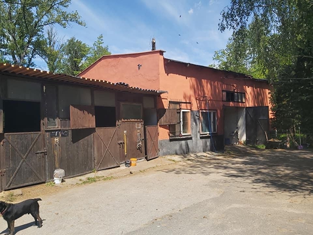 Katowicki Klub Jeździecki - zdjęcie 6