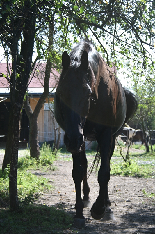 Zwierzyniec Baby Jagi - zdjęcie 3