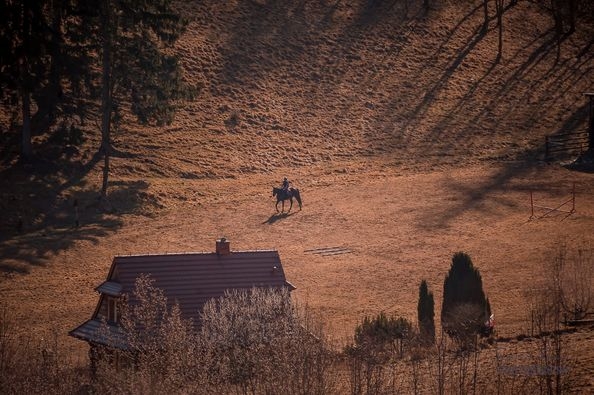 Stajnia AGRI SUDETY