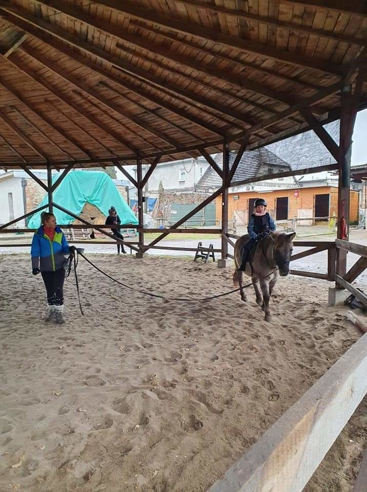 Ponny Hoff Bytom - zdjęcie 5