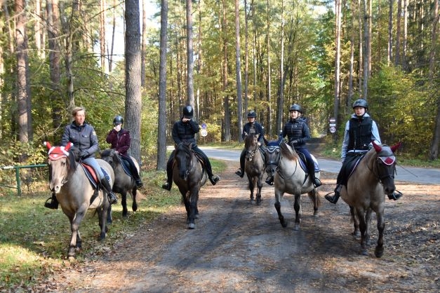 Popielno Koniki Polskie
