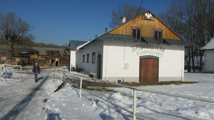 Stadnina koni Łopuszna