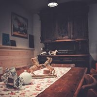 Ośrodek Jeździecki Zamek w Grodźcu Śląskim - zdjęcie 4