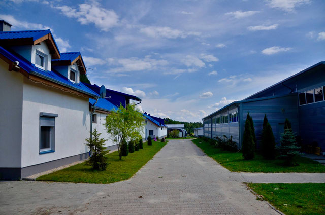 Stajnia Sportowa Błażejewski- Klub Sportowy Centaurus - zdjęcie 3