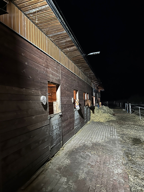 Stajnia Jump Dressage - zdjęcie 2