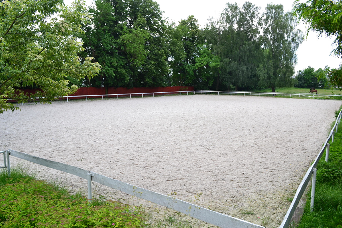 Ośrodek Jeździecki Felin - zdjęcie 3