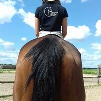 Stajnia Rusin - zdjęcie 7