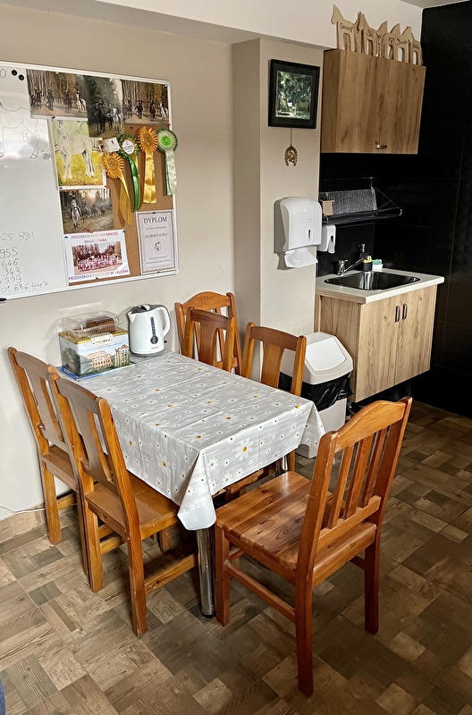Ranczo Bogaczówka - Pensjonat dla koni - zdjęcie 6