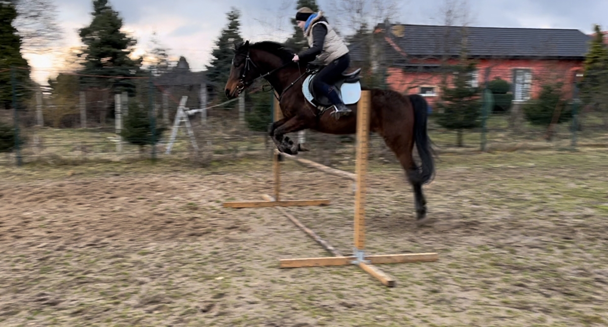 DO.Arabians