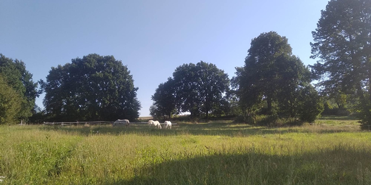 Przydomowa stajnia pod Strzelinem