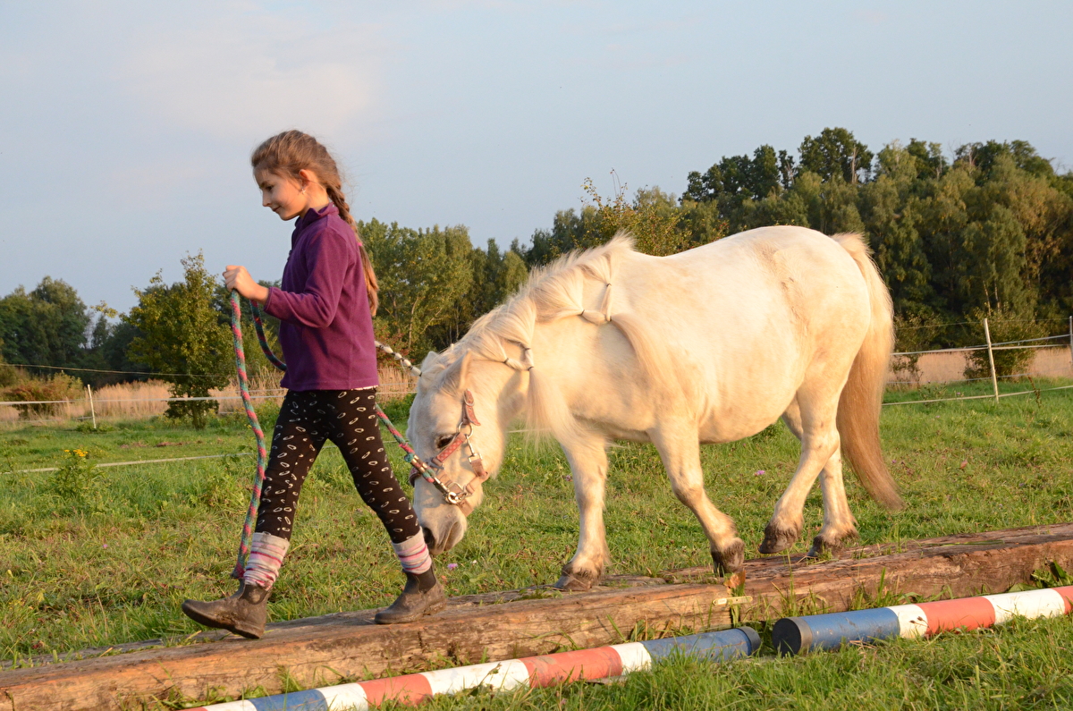 Stajnia Happy Hoof - zdjęcie 4
