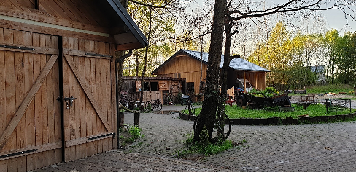 Stajnia Mikusówka (pod Warszawą/ okolice Piaseczno) - zdjęcie 6