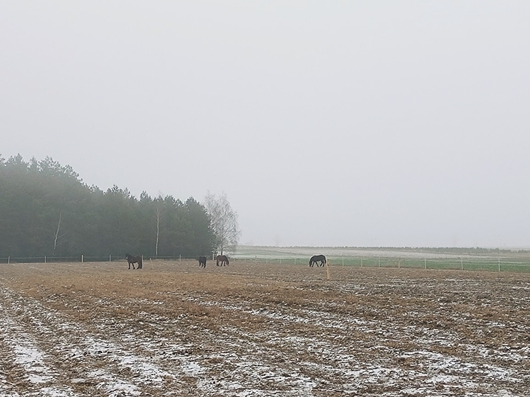 Stajnia Słoneczna