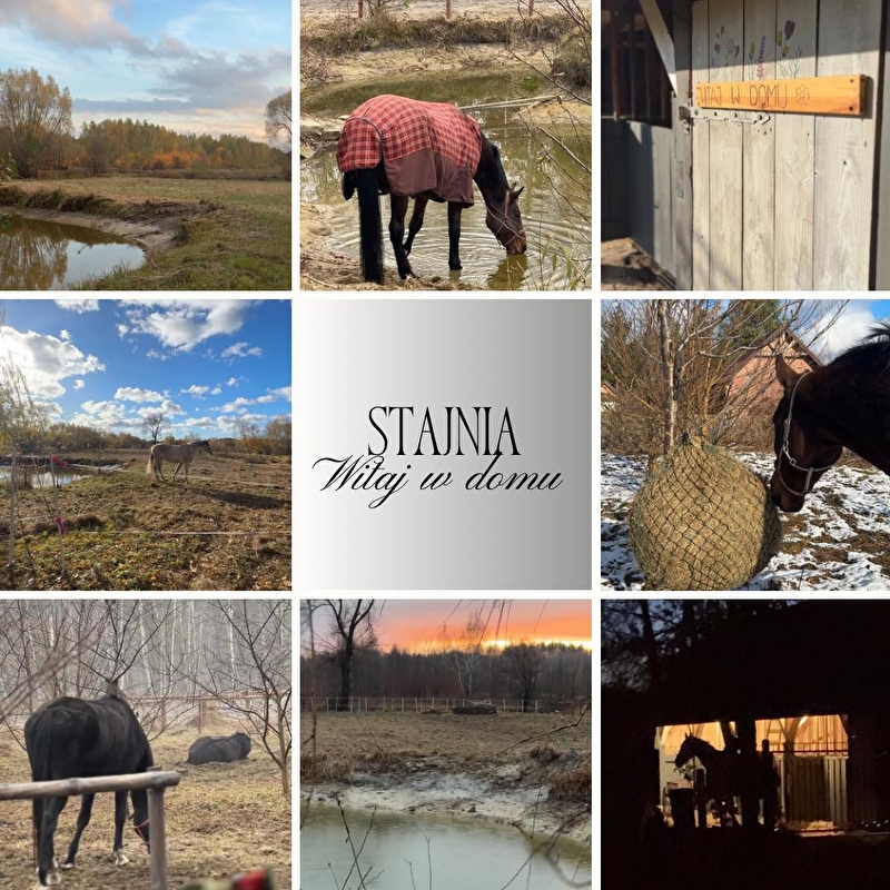 Stajnia Witaj w Domu