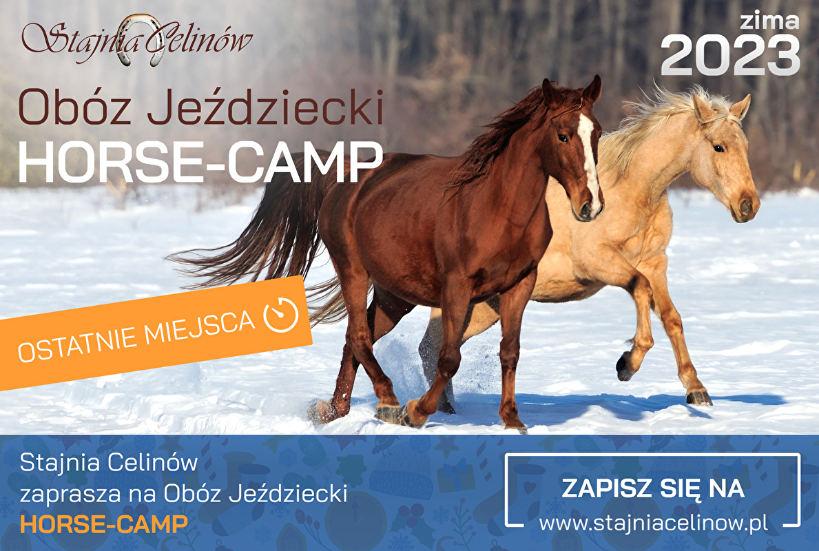 Stajnia Celinów
