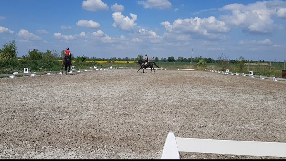 Stajnie Łopuchowskie