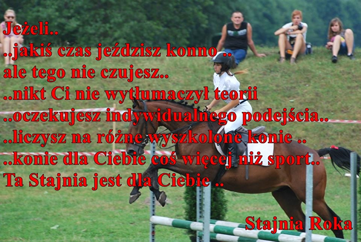 Stajnia Roka