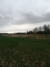 Gospodarstwo Agroturystyczne Stajnia Onufry - zdjęcie 4