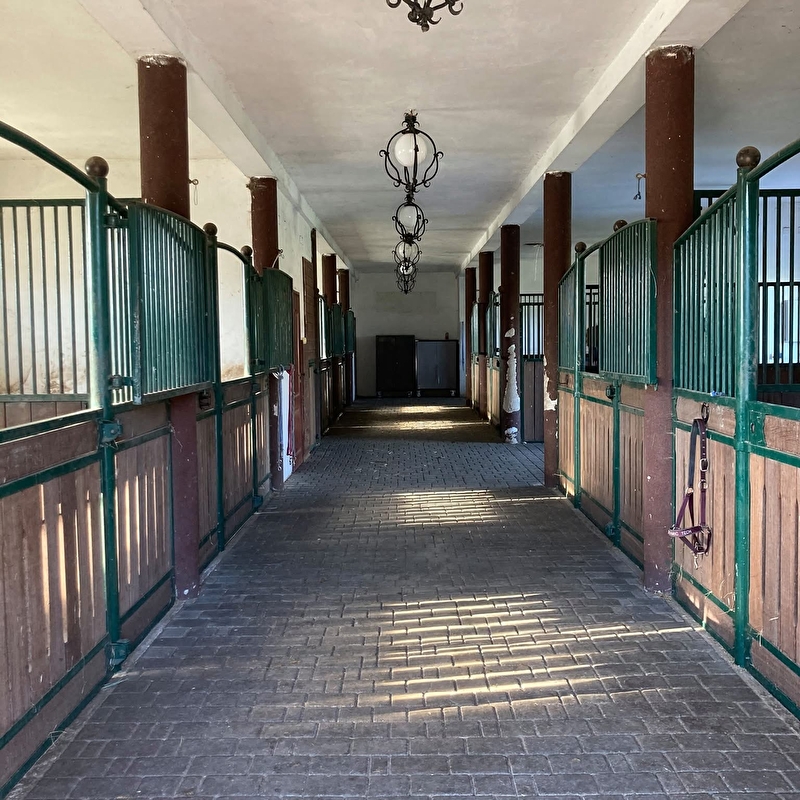 Klub Jeździecki Pasja - zdjęcie 2