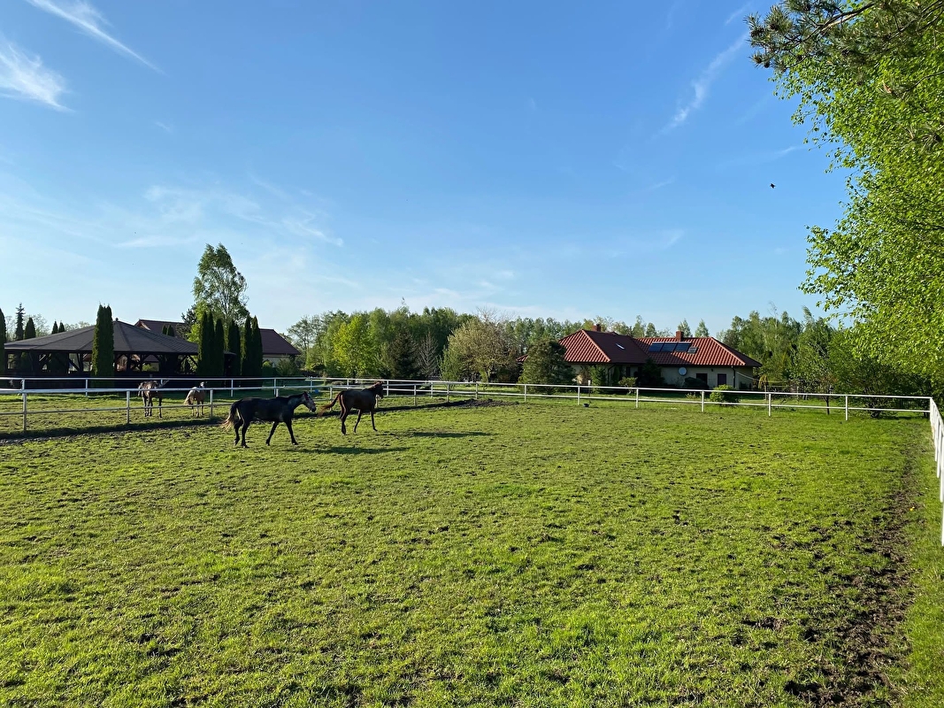 Klub Jeździecki Pasja - zdjęcie 4