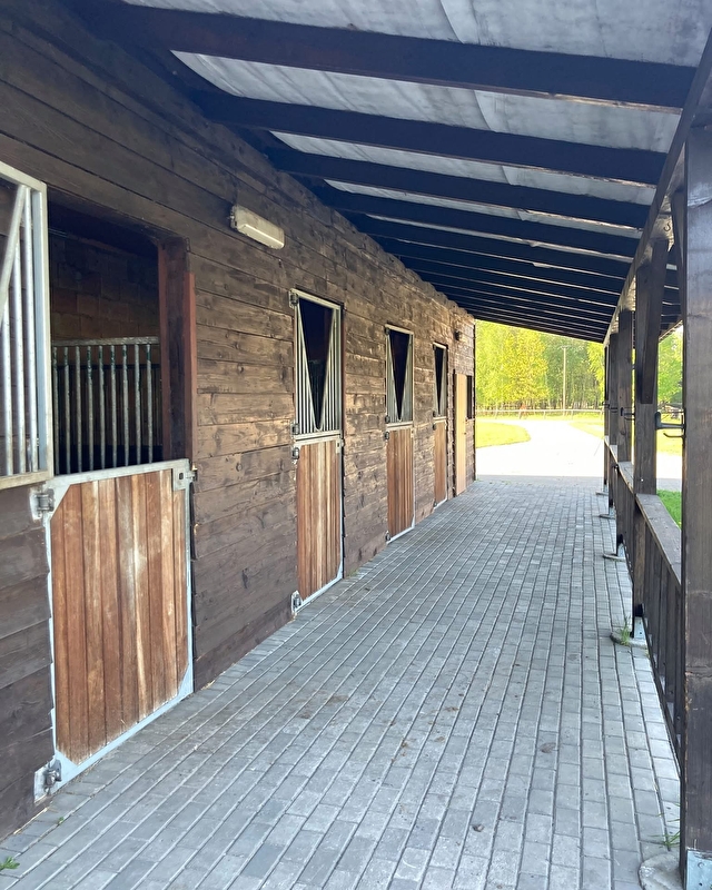 Klub Jeździecki Pasja - zdjęcie 7