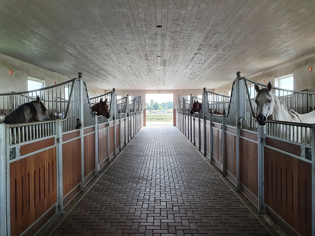 Koronowo Arabian Stud