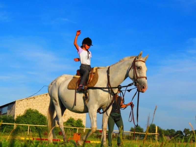 Gospodarstwo Agroturystyczne Mustang